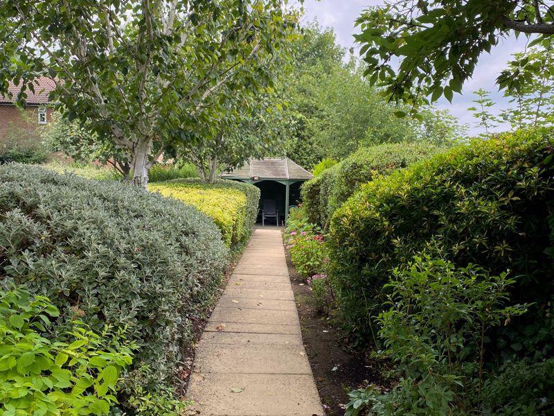 Path to pergola