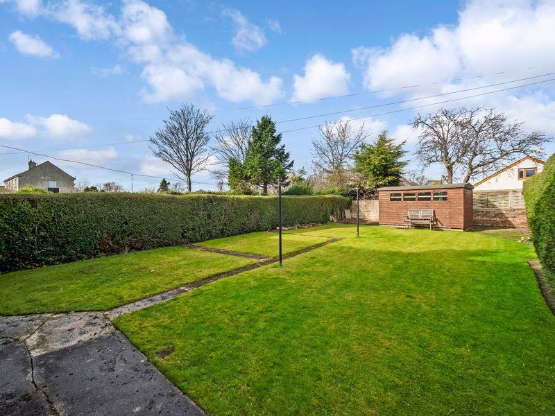 Back Garden
