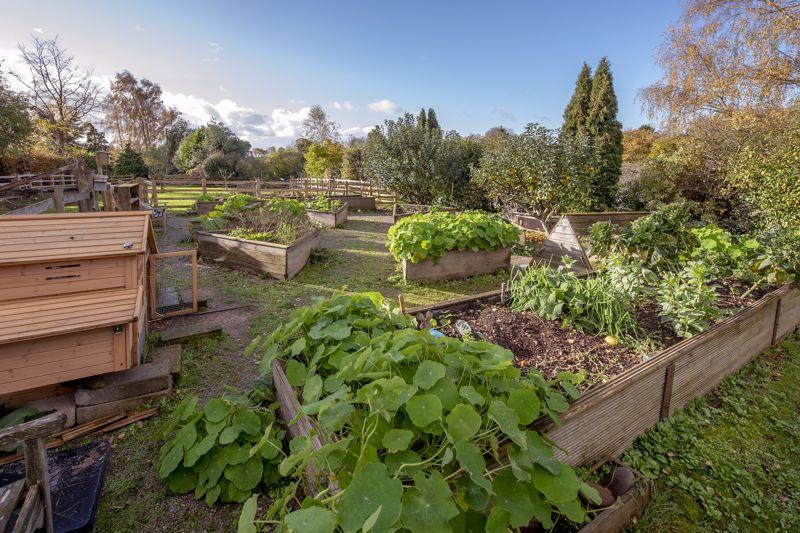 Kitchen Garden