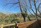 Sunny Canal View