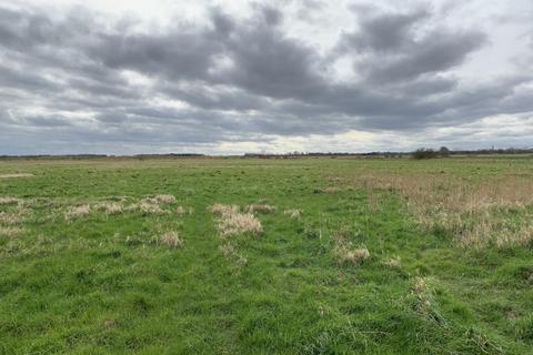 Farm land for sale, 4.85 Ha (11.98Ac) Grass / Arable Land, Off Mill Road, Stokesby, Great Yarmouth, Norfolk, NR29