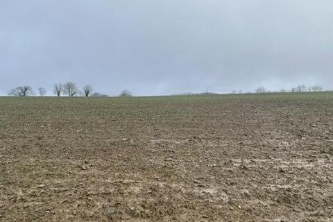 Land for sale, Bishops Nympton, South Molton