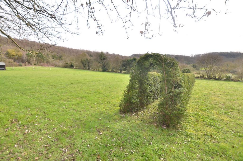 Topiary hedge.JPG
