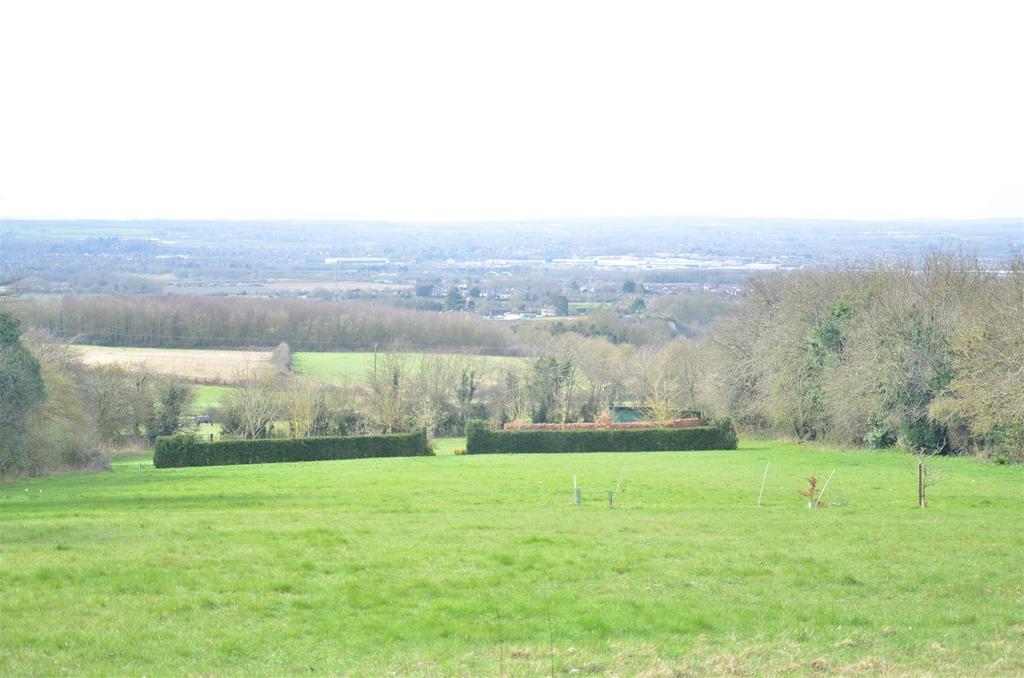 Main paddock.JPG