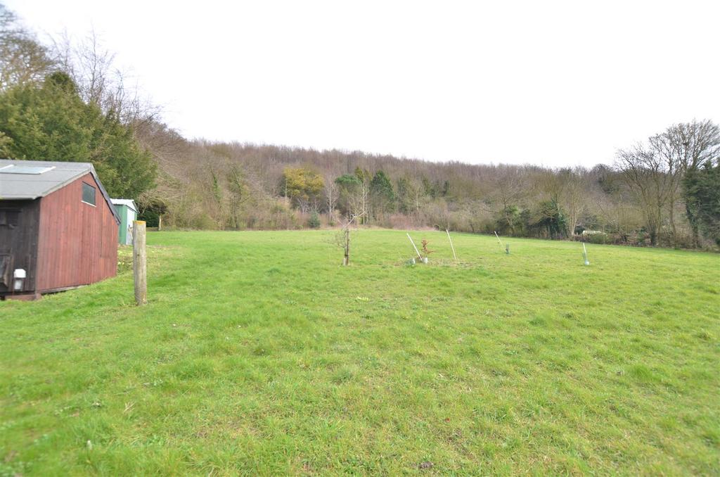 Main paddock.JPG