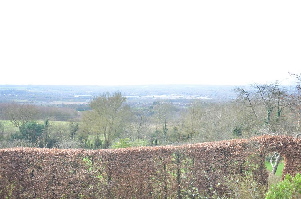 View.JPG
