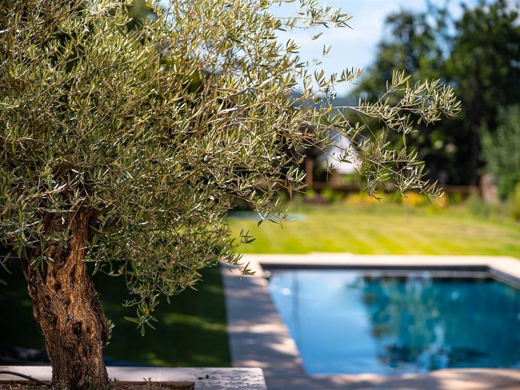 Garden and pool