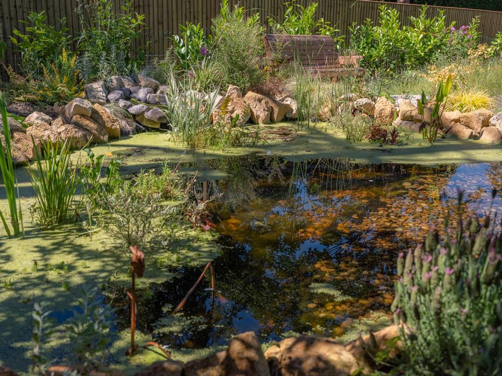 Wildlife pool
