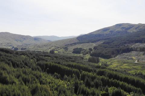 Land for sale, Gartnafuran Forest, Balquhidder, Perthshire, FK19