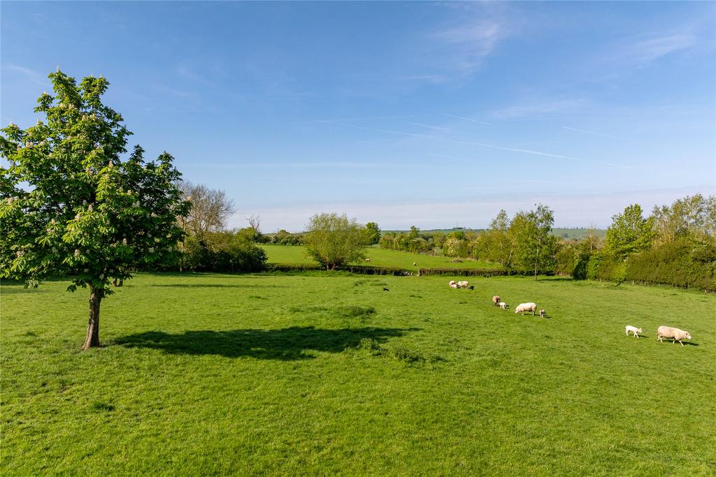 Paddocks