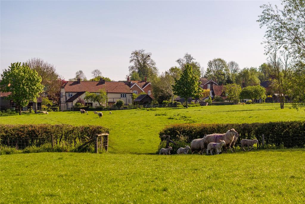 Paddocks