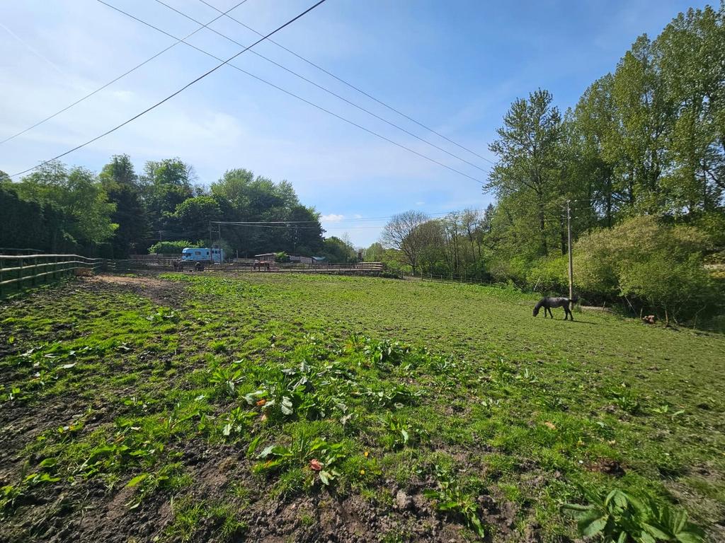 Melbury Abbas, Shaftesbury, Dorset, SP7 4 bed equestrian property for sale £765,000