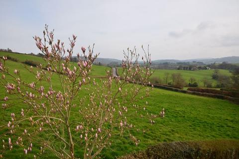 undefined, Sunnyside, Great Tree, Chagford