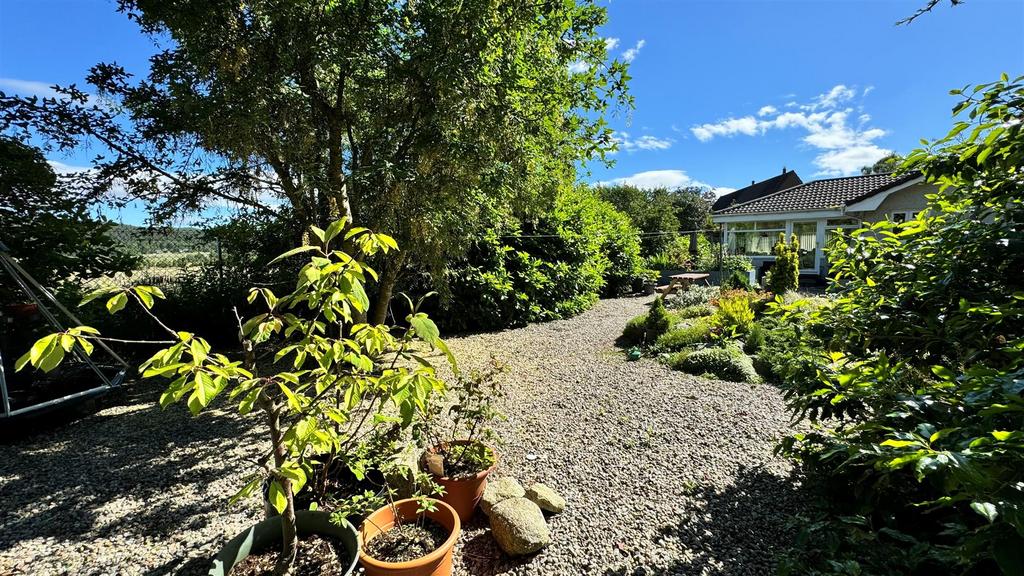 Garden 1.jpg