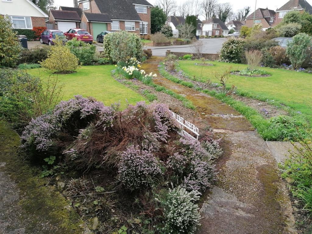 Knockwood Road, Tenterden, Kent 4 bed detached house to rent £1,700