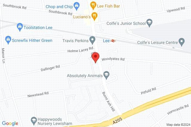 Google Maps Image