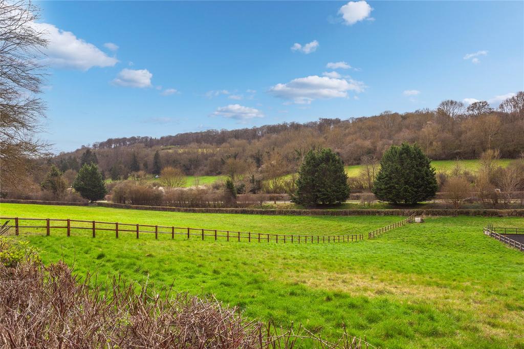 Open Field Views