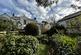 Shared Garden