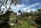 Shared Garden