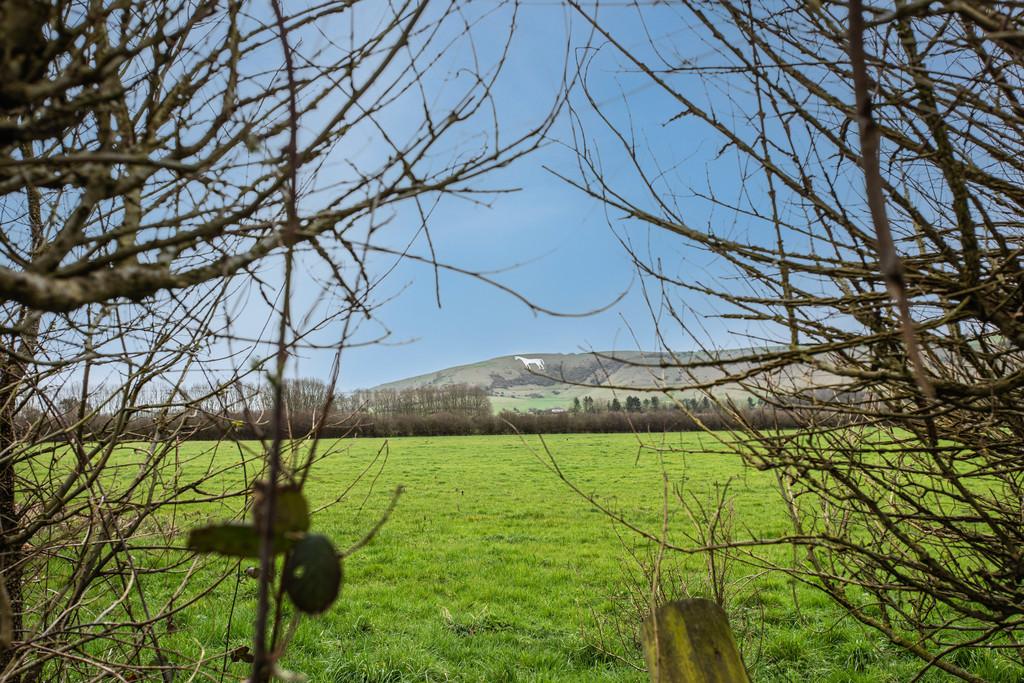 Westbury white horse