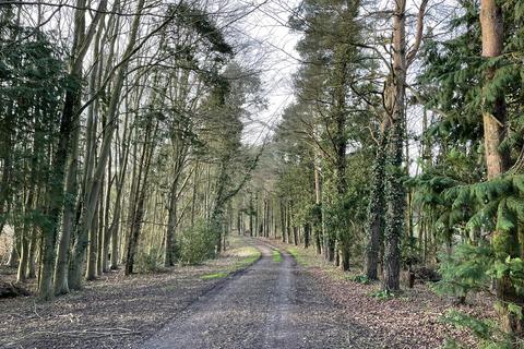 Land for sale, c.483ac (195ha) of Woodland near Muckton, Lincolnshire