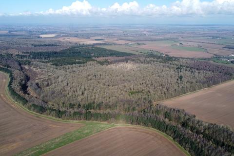Land for sale, c.483ac (195ha) of Woodland near Muckton, Lincolnshire