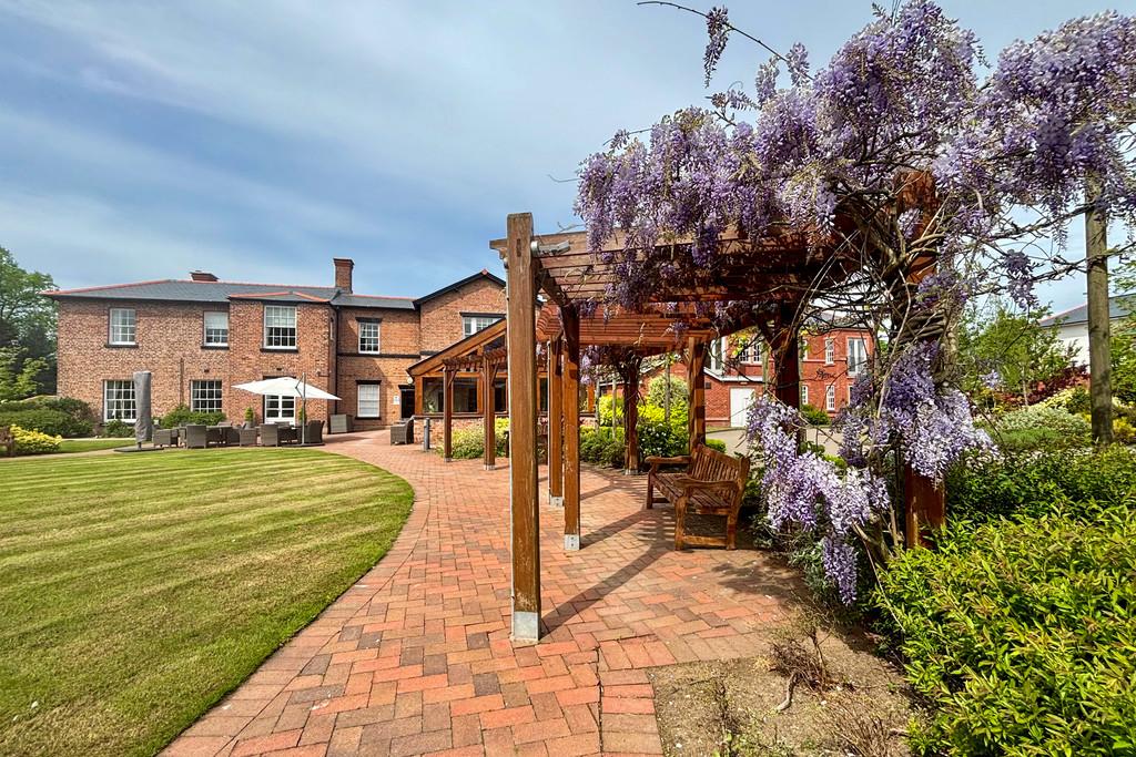 Bh wisteria 5
