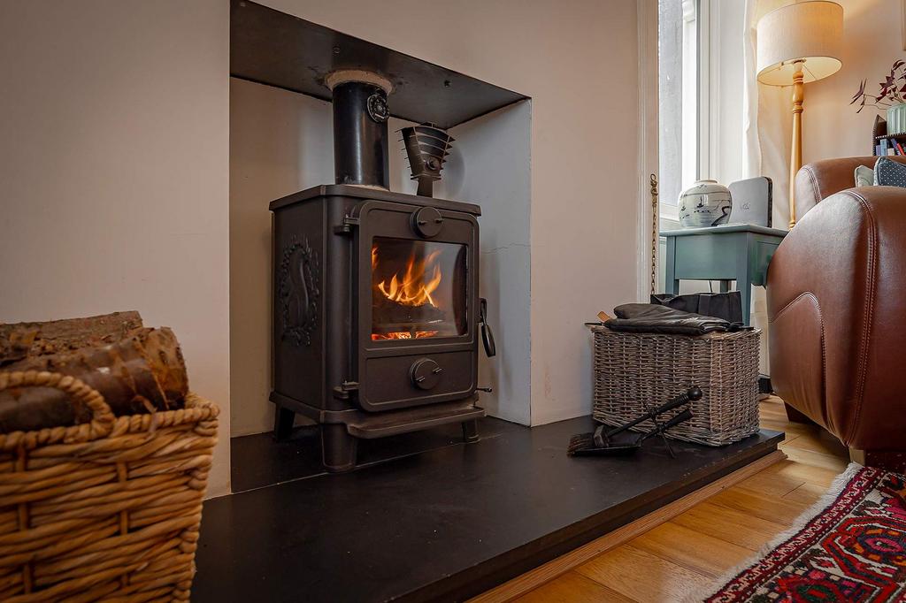 Wood Burning Stove