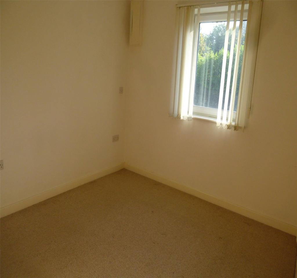 Photograph 5