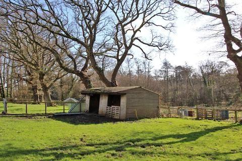 Equestrian property for sale - Land, South Sway Lane, Sway, Hampshire, SO41