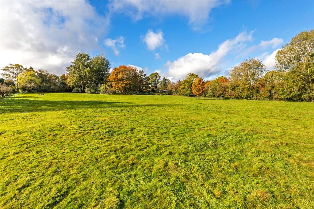 Field