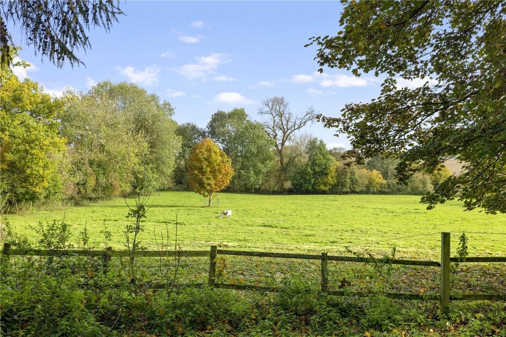 Field View