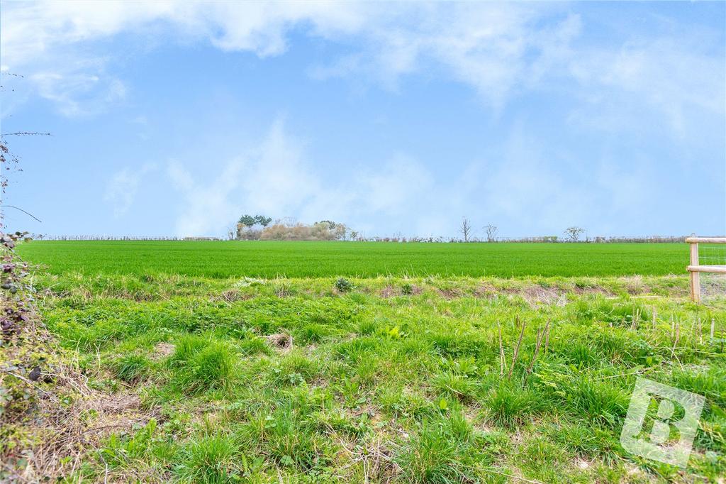 Farmland Views