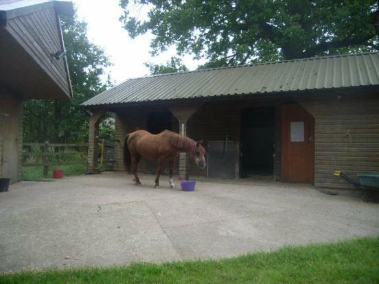 103 MAT100101 IMG 09 0006 max 656x437.jpg