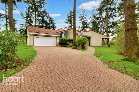 5 bedroom detached bungalow for sale, Aleutia Gardens, Thetford