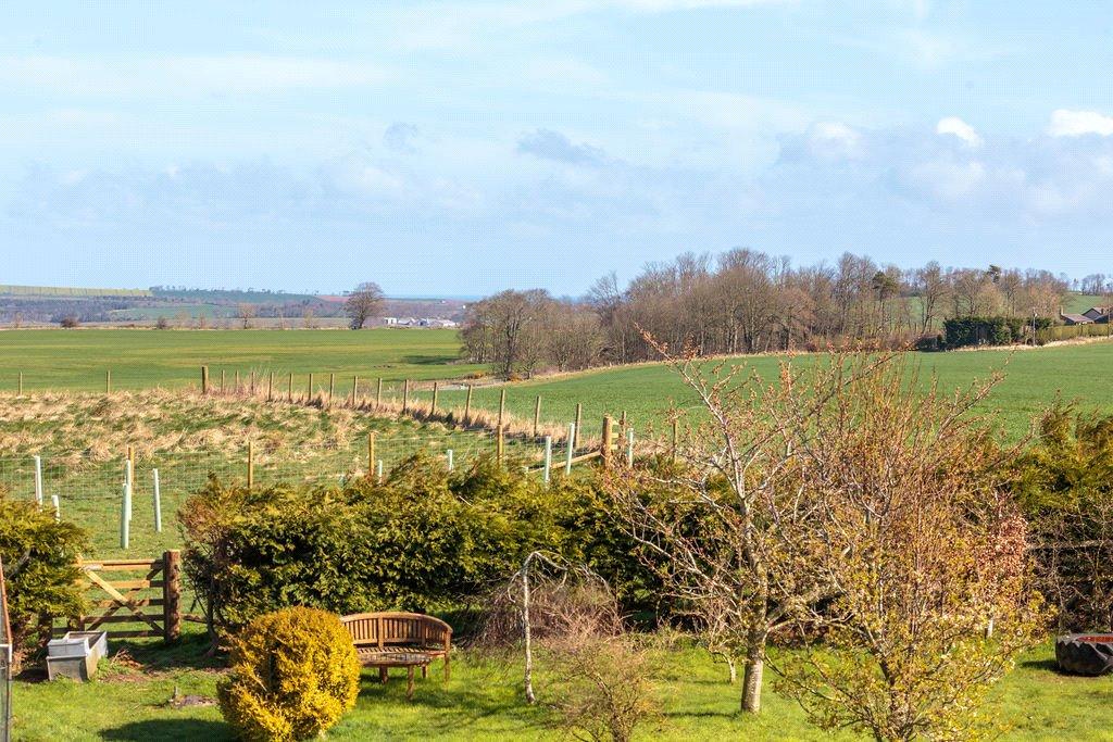 Garden/View