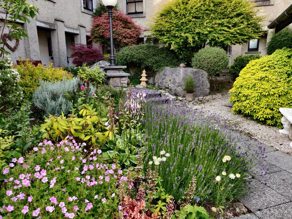 Communal Garden