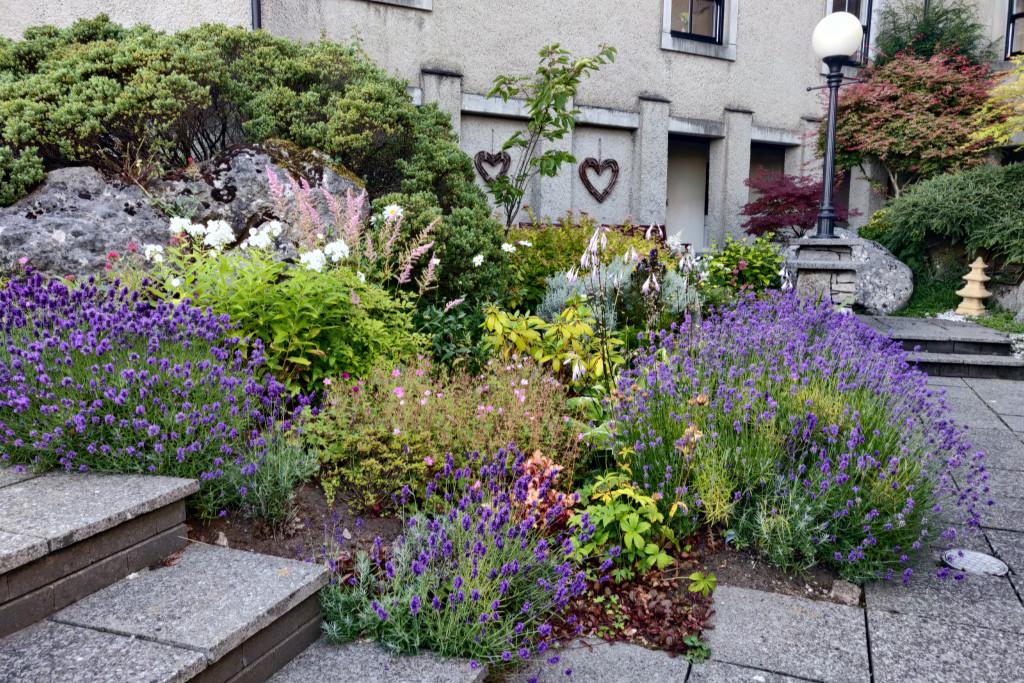 Communal Garden