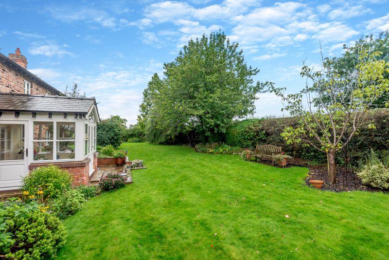 Garden 4