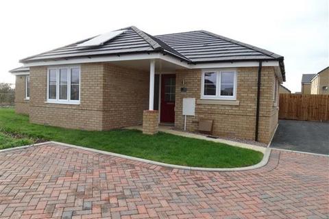 3 bedroom bungalow to rent - Champions Drive, Thorney, PE6 0FY
