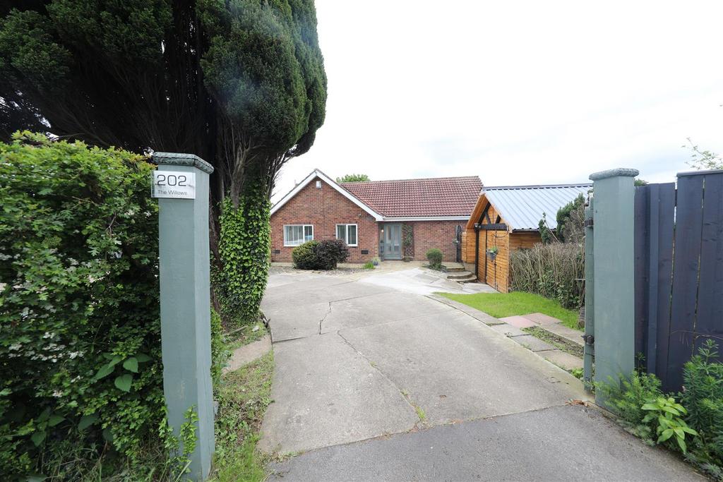 Front garden and driveway