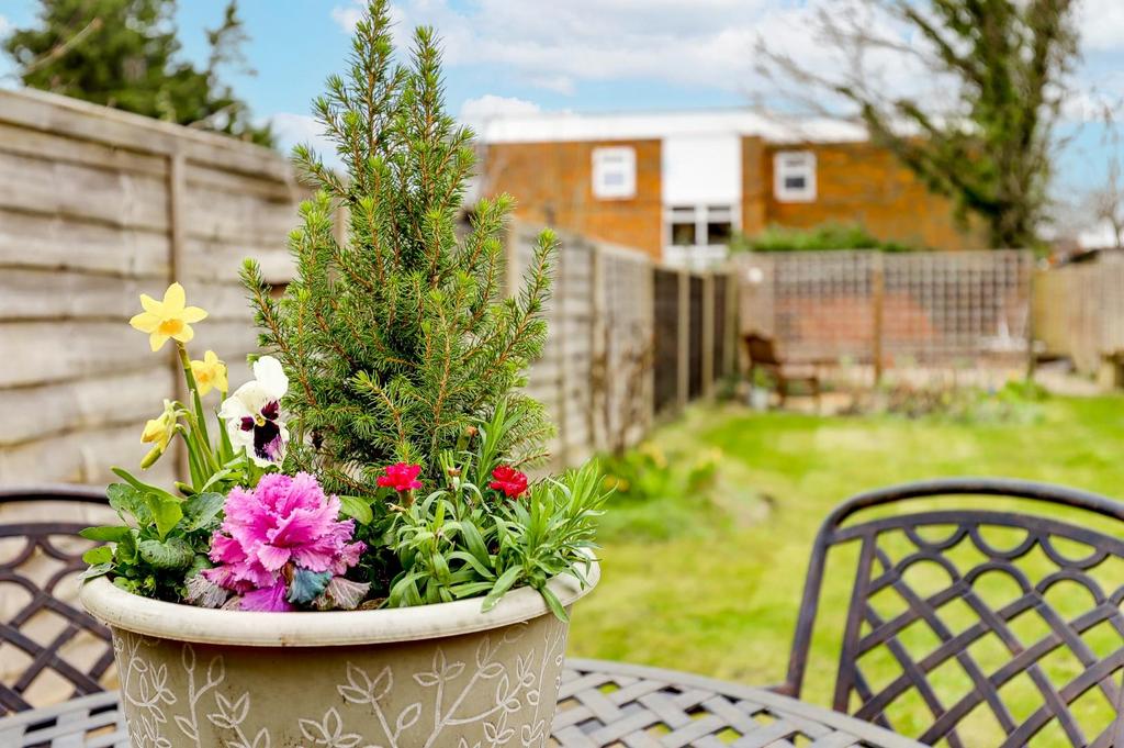 Garden b.jpg