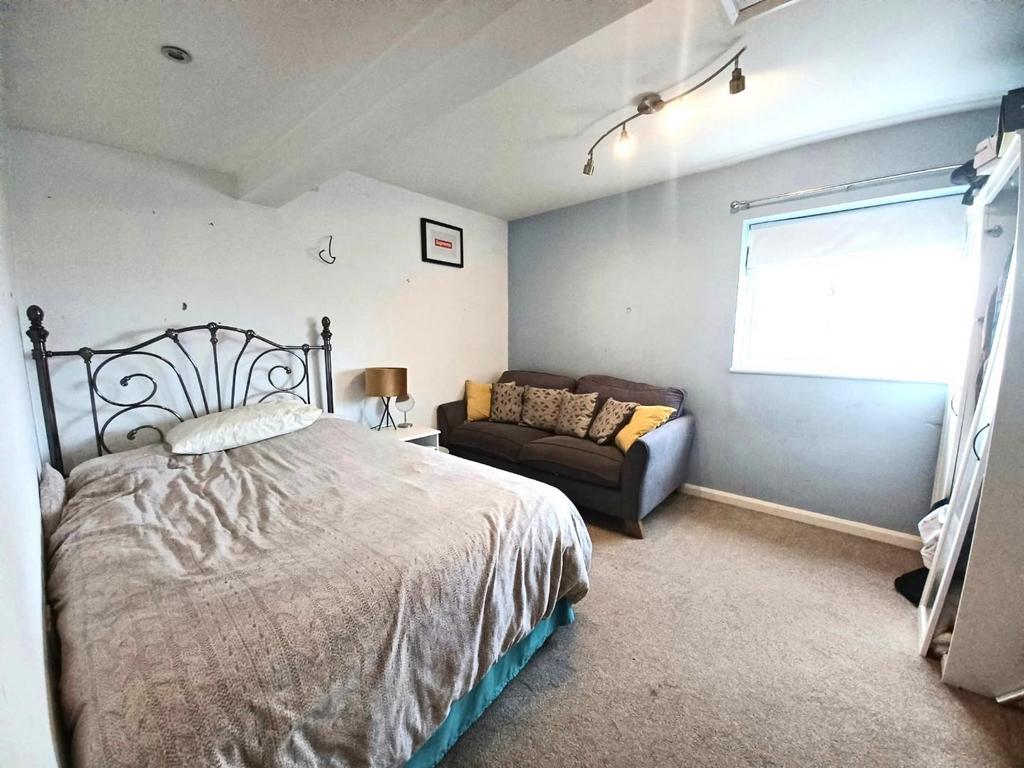 Ned 1.jpg