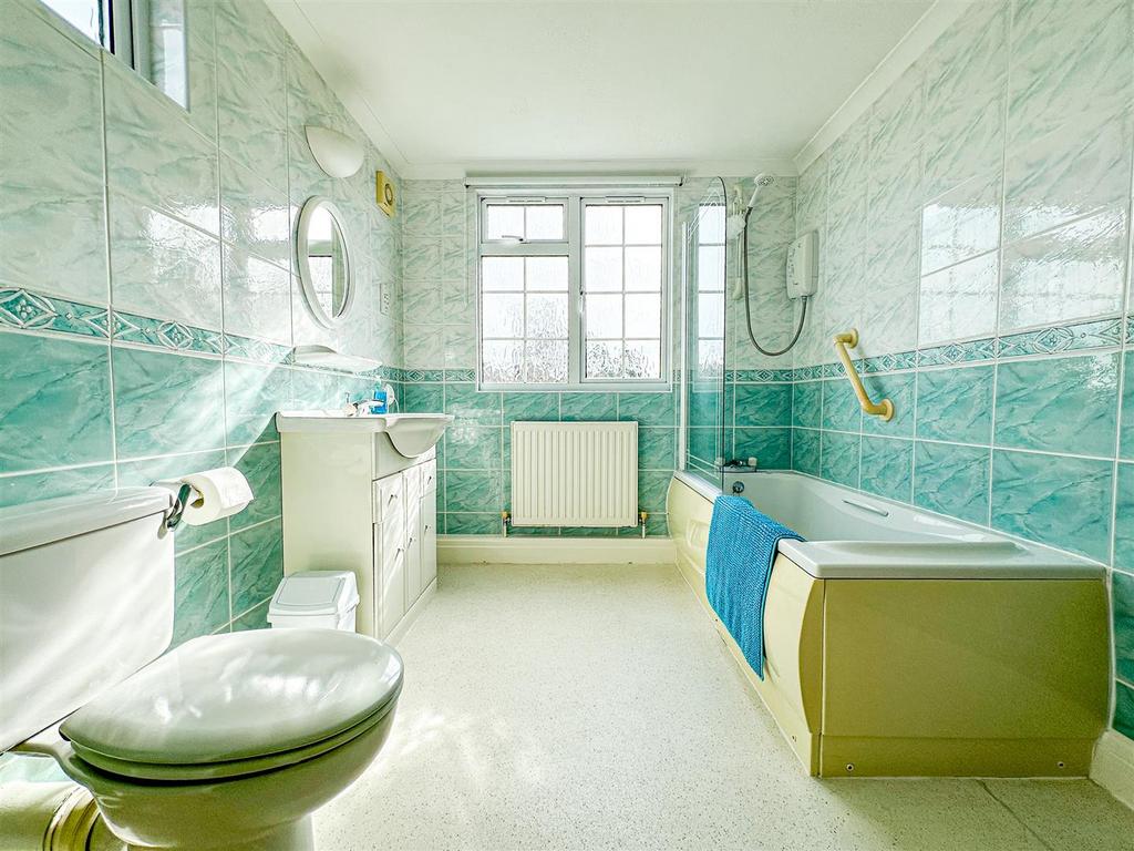 Image00019 Alto.jpg