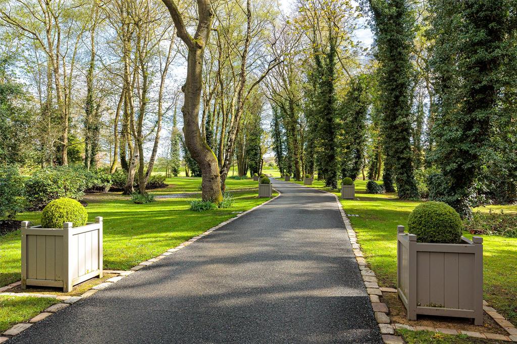 Driveway
