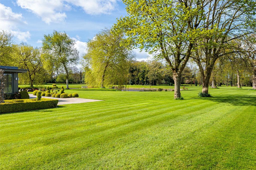 Grounds
