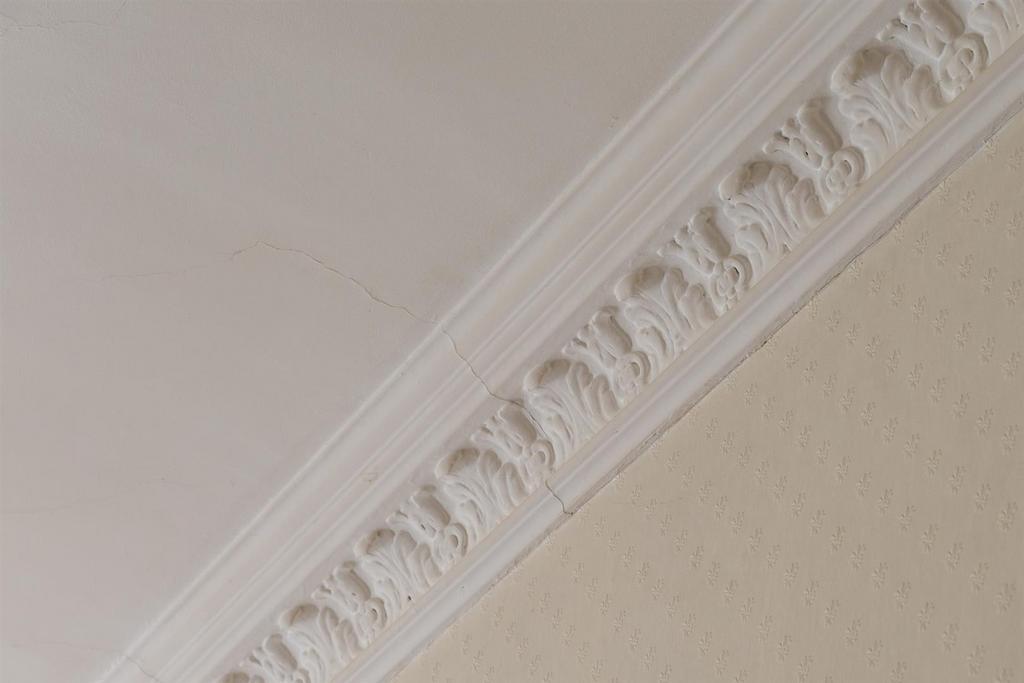 Ornate Cornicing
