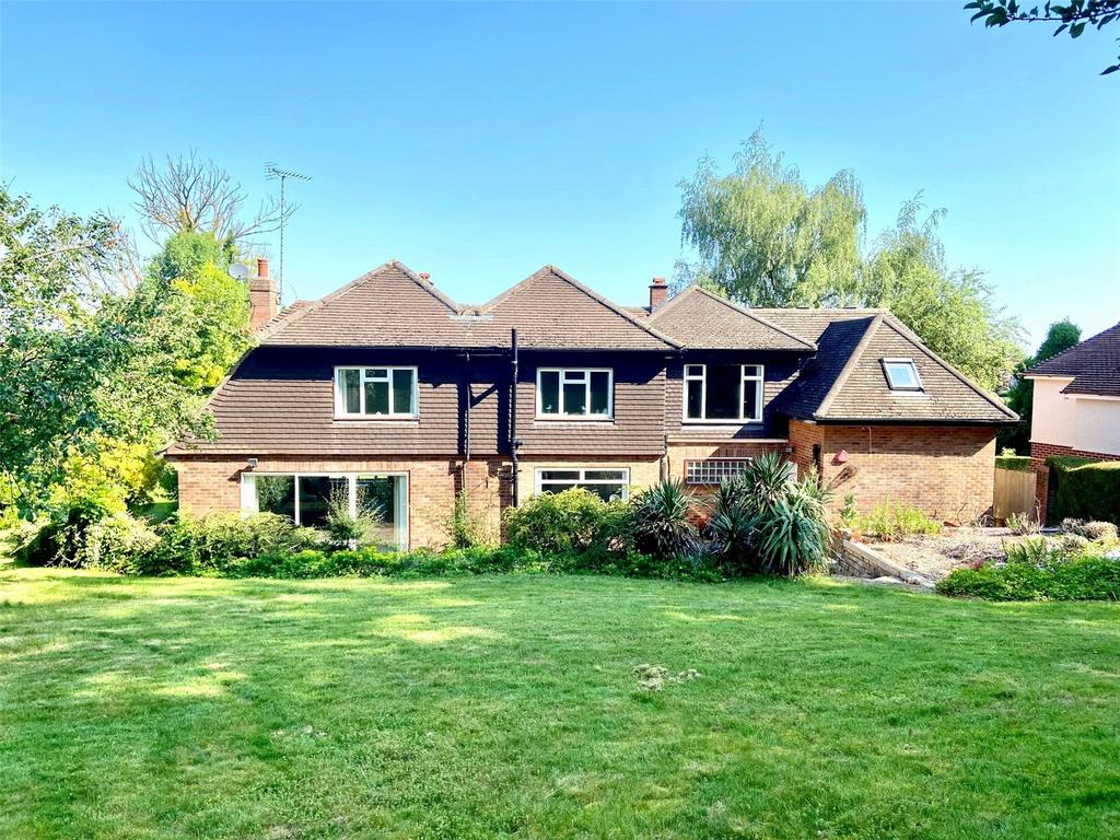 Rear Elevation