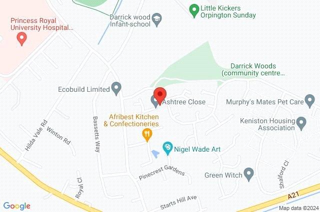 Google Maps Image