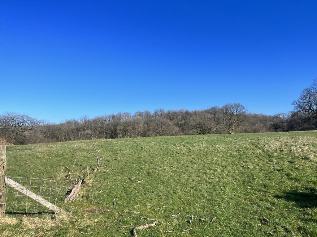 Land